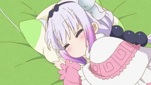 Kanna Kamui's Cute Nap Cute dragons, Chibi girl, Miss kobaya
