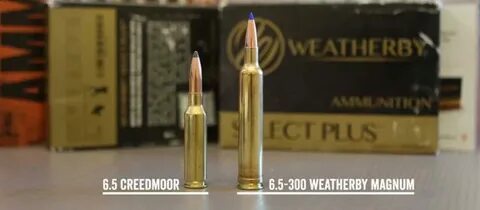 Weatherby's 6.5-300 Rocky Mountain Elk Foundation