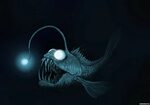 Глубоководная рыба со светящейся приманкой и глазами - Карти