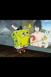 Is spongebob gay? Anime Amino