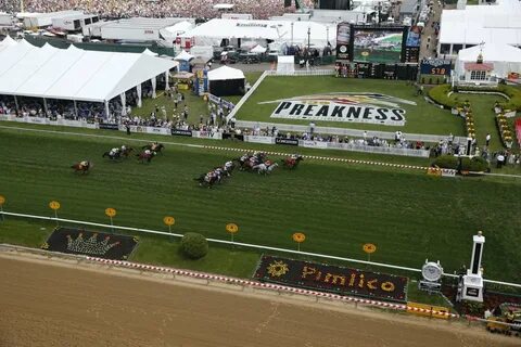 Pimlico Race Course Related Keywords & Suggestions - Pimlico