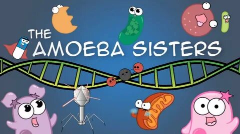 The Amoeba Sisters (2013)