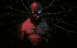 Spider-Man Wallpaper 4K, Venom, Black background, Marvel Sup