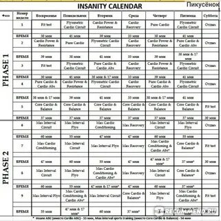 Фитнес-программа от Шона Ти "Beachbody INSANITY Deluxe Editi