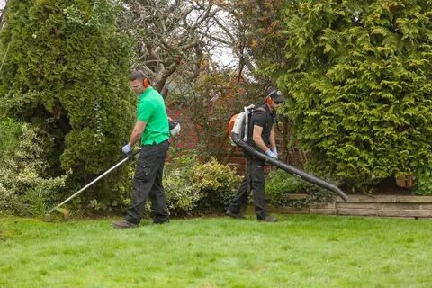 Garden Cleaning Services - Best Cleaning Services Montreal