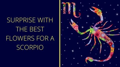 Surprise With The Best Flowers For A Scorpio Zodiac Flower G