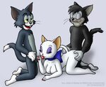 Read Tom and Jerry Hentai Porn Rule 34 Hentai porns - Manga 