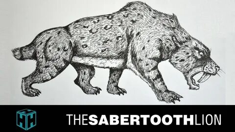 Drawing the Sabertooth lion - YouTube