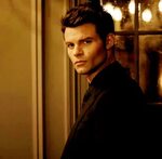 Elijah Mikaelson "I believe the term you're searching for is