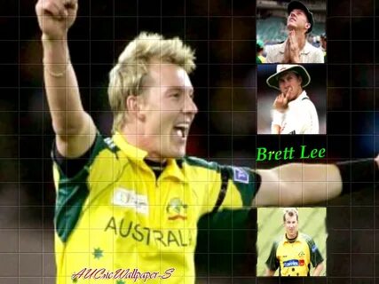 Brett Lee Wallpapers Pack 1 All Entry Wallpapers