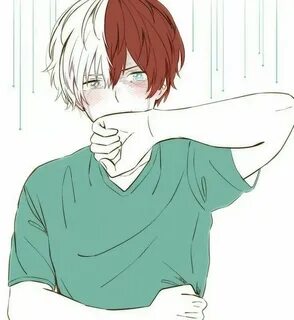 Days (Todoroki Shoto X (T/N)) - (4) Hero, My hero academia, 