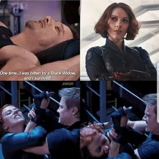 Collection Of Best BLACK WIDOW Memes - Guide For Geek Moms