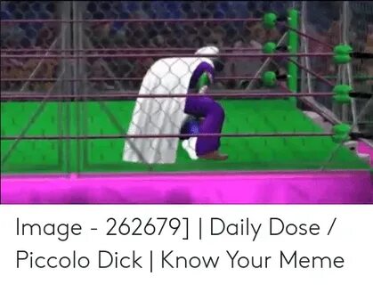 🐣 25+ Best Memes About Daily Dose Piccolo Daily Dose Piccolo