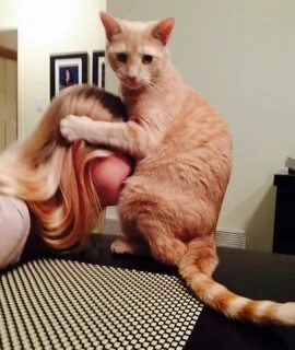 I wanna put my pussy on your face - Album on Imgur