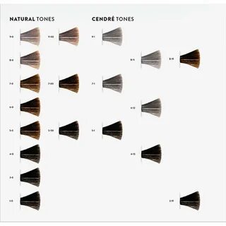 igora vibrance shade chart - Monsa.manjanofoundation.org