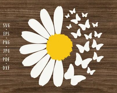 Pin on Sunflower SVG