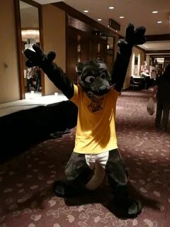 The Fursuit Database 