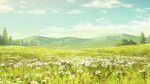 The Best 12 Pink Anime Flower Field Background - Ranma Wallp