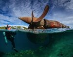 Bikini Dive Trip - Liveaboard Wreck Diving Charters - Indies