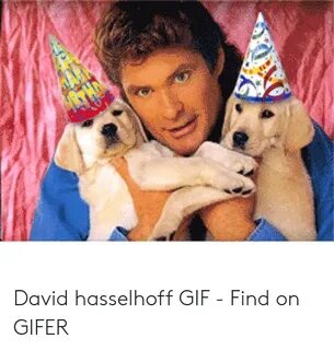 🐣 25+ Best Memes About David Hasselhoff Gif David Hasselhoff