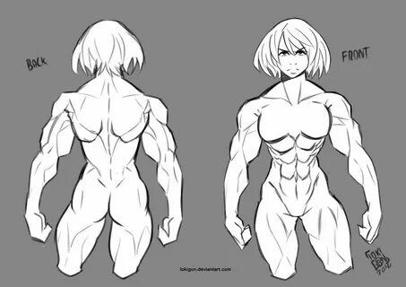 Study Female Muscle Anatomy by lokigun Female anatomy refere