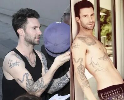 Adam Levine tetoválásai testvér és ház