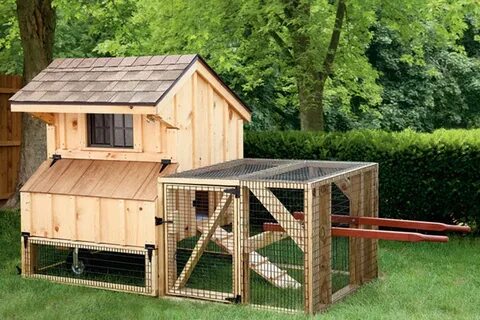 Portable Chicken Coop Related Keywords & Suggestions - Porta