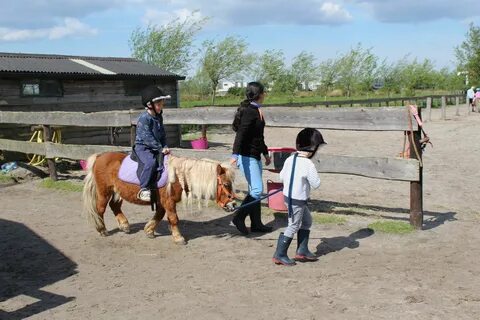 Shetland pony rijden De Bonte Belevenis