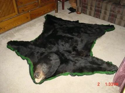 Nice bear skin rug with head Pics, awesome bear skin rug wit