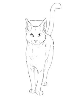 Pin by Kim Doherty on Animal Cat outline, Warrior cat drawin