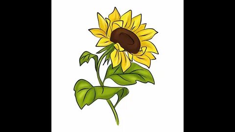 How to draw flowers Sunflower/ Как рисовать цветы, подсолнух