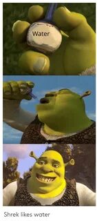 Shrek Likes Water Shrek Meme on ME.ME