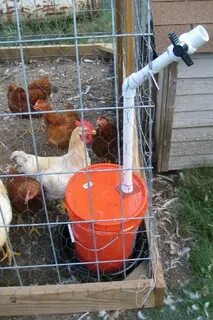 Pin on Chicken coop