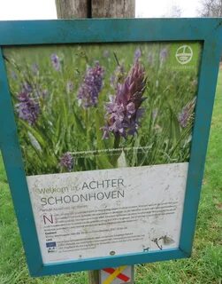 Discover The Best Personal Services In Schoonhoven For A