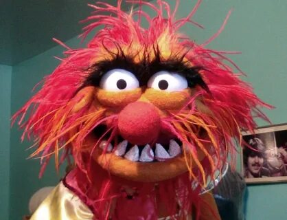 Animal From The Muppets Images