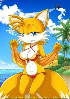 Xbooru - 1girl anthro bbmbbf beach big bikini blue eyes brea