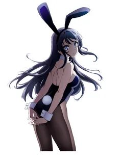 Seishun Buta Yarou wa Bunny Girl Senpai no Yume wo Minai ani