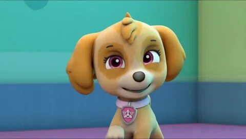 Skye - Skye and Chase - PAW Patrol litrato (42903362) - Fanp