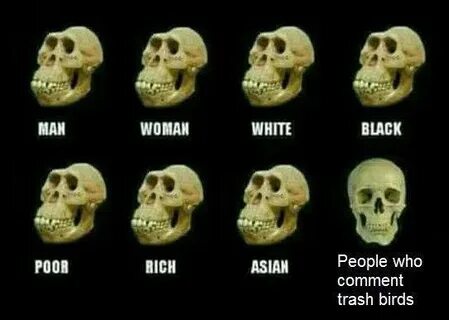 Skull Memes