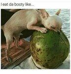 L Eat Da Booty Like Booty Meme on awwmemes.com