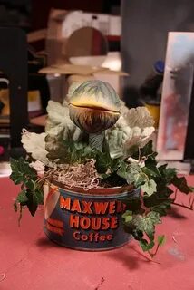 Audrey II Done Man eating plant, Halloween party decor diy, 