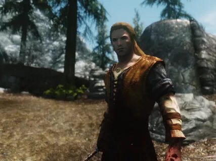 Sven replacer by kerwin1988 at Skyrim Nexus - Mods and Commu