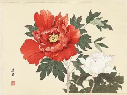 Imperial Exhibition Peony by Tanigami Konan (1879 - 1928)