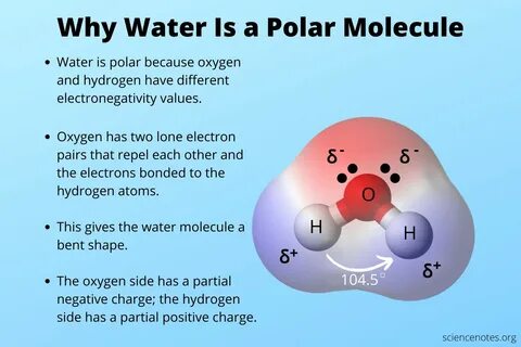 Why Is Water a Polar Molecule?