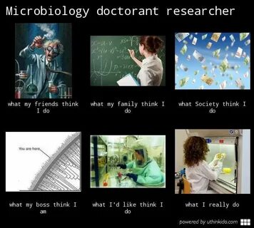 Microbiology doctorant researcher, What people think I do, W