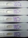 Gallery of when can i take a pregnancy test calculate when t
