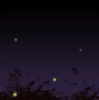 Funny Gifs : fireflies GIF - VSGIF.com