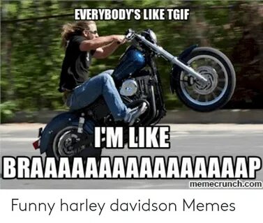 🐣 25+ Best Memes About Funny Harley Davidson Memes Funny Har