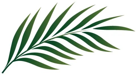 palm leaf clipart - Clip Art Library