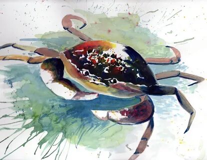 DAILY PAINTERS MARKETPLACE: Crab watercolor painting